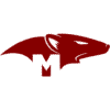 Mongoose.js